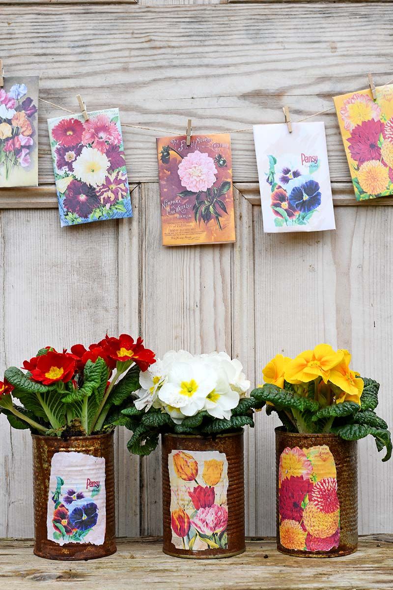 seed packets can diy planters