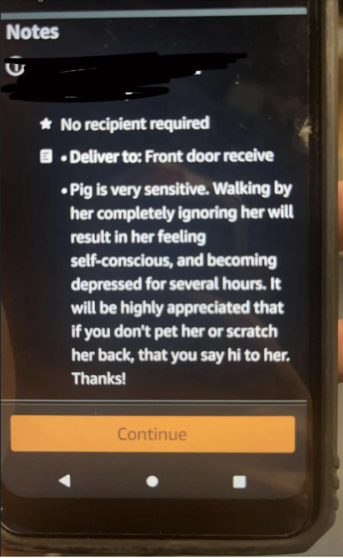 A note to an Amazon delivery person letting them know their pig is sensitive