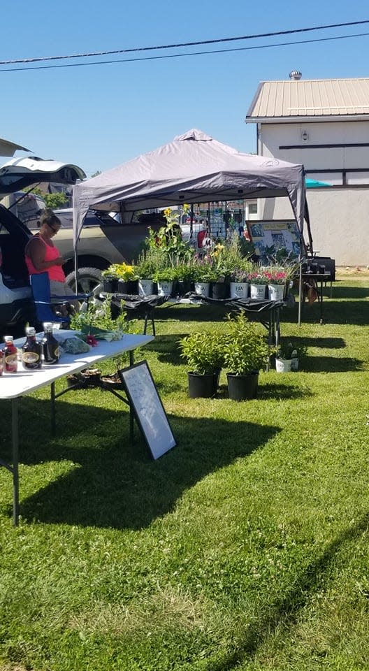 The farmers market at Ground Up Coffee Shop in Stratford will kick off June 8.