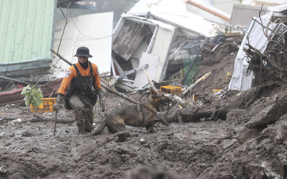 FILE - A rescue worker with a dog searches for people at the site of a landslide caused by heavy rain in Yecheon, South Korea, July 16, 2023. Scientists say increasingly frequent and intense storms could unleash more rainfall in the future as the atmosphere warms and holds more moisture. (Yun Kwan-shick/Yonhap via AP, File)