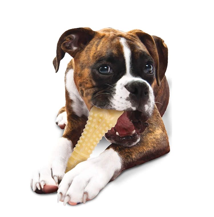Nylabone Dura Chew Textured Dog Chew, (Photo: Amazon)