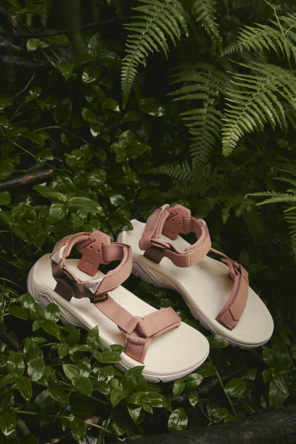 Teva x FP Movement Collaboration