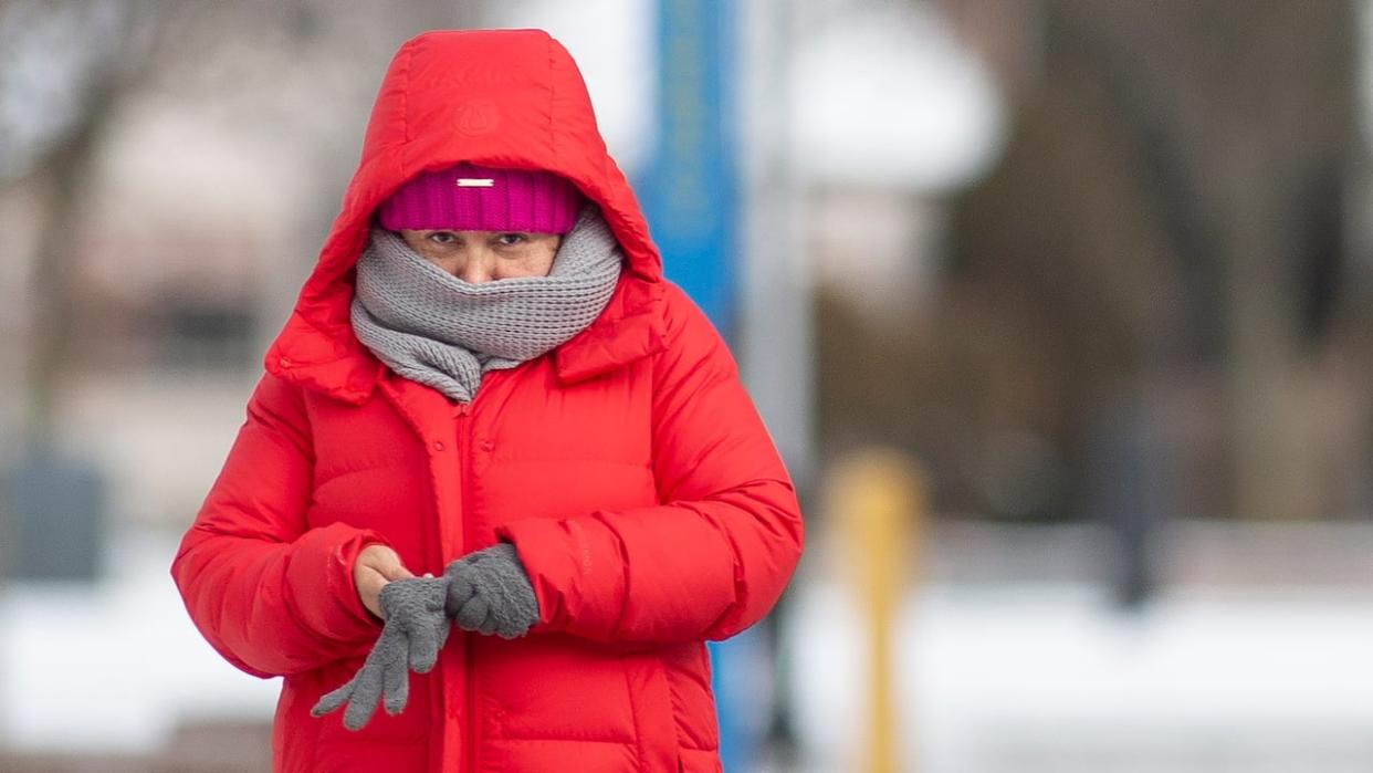 A Windsor pedestrian stays bundled up during frigid temperatures in January 2024.  (Dax Melmer/CBC - image credit)