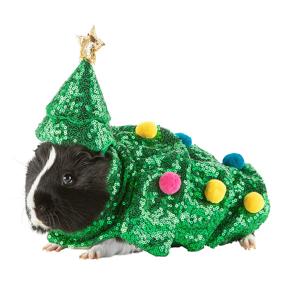 <p>After you are done trimming your tree, don't forget to decorate your guinea pig too. </p> <p><strong>Buy it!</strong> Christmas Tree Small Pet Holiday Costume, $6.99; <a href="https://petsmart.haujjd.net/c/249354/764629/11083?subId1=PEO15HolidayOutfitsforSmallPetsthatLetReptilesandGuineaPigsJointheFestiveFunkbender1271PetGal13032410202112I&u=https%3A%2F%2Fwww.petsmart.com%2Fsmall-pet%2Ftoys-and-habitat-accessories%2Fsmall-pet-costumes%2Fmerry-and-brightandtrade-christmas-tree-small-pet-holiday-costume-65907.html" rel="sponsored noopener" target="_blank" data-ylk="slk:PetSmart.com;elm:context_link;itc:0;sec:content-canvas" class="link ">PetSmart.com</a></p>