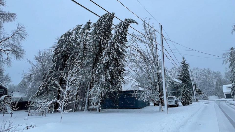 PHOTO: Bending trees are seen on Ross Street in South Berwick, Maine,  April 4, 2024 as a spring storm hits the region. (Deb Cram/SeaCoastOnline/USA Today)