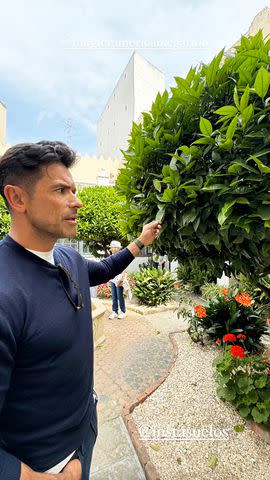 <p>Kelly Ripa/Instagram</p> Mark Consuelos touching a plant in Morocco