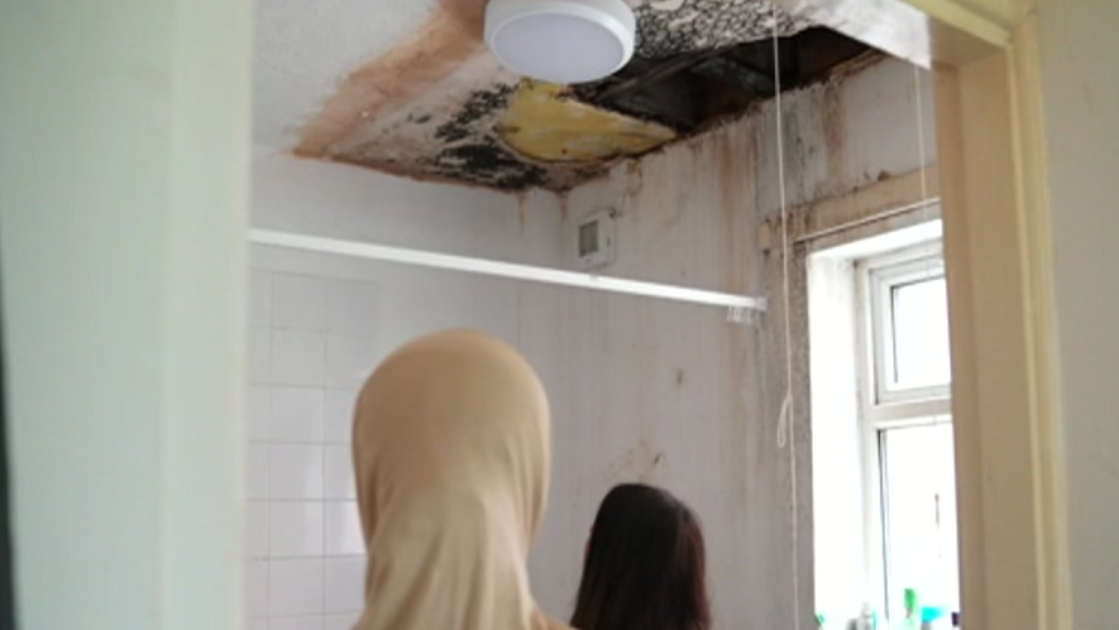 A mouldy, partially-collapsed ceiling