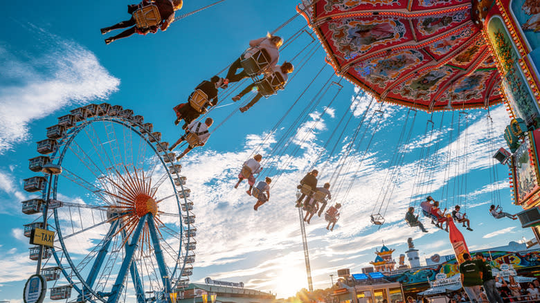 ferris wheel amusement rides