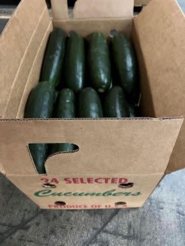 <p>fda.gov</p> Cucumbers recalled