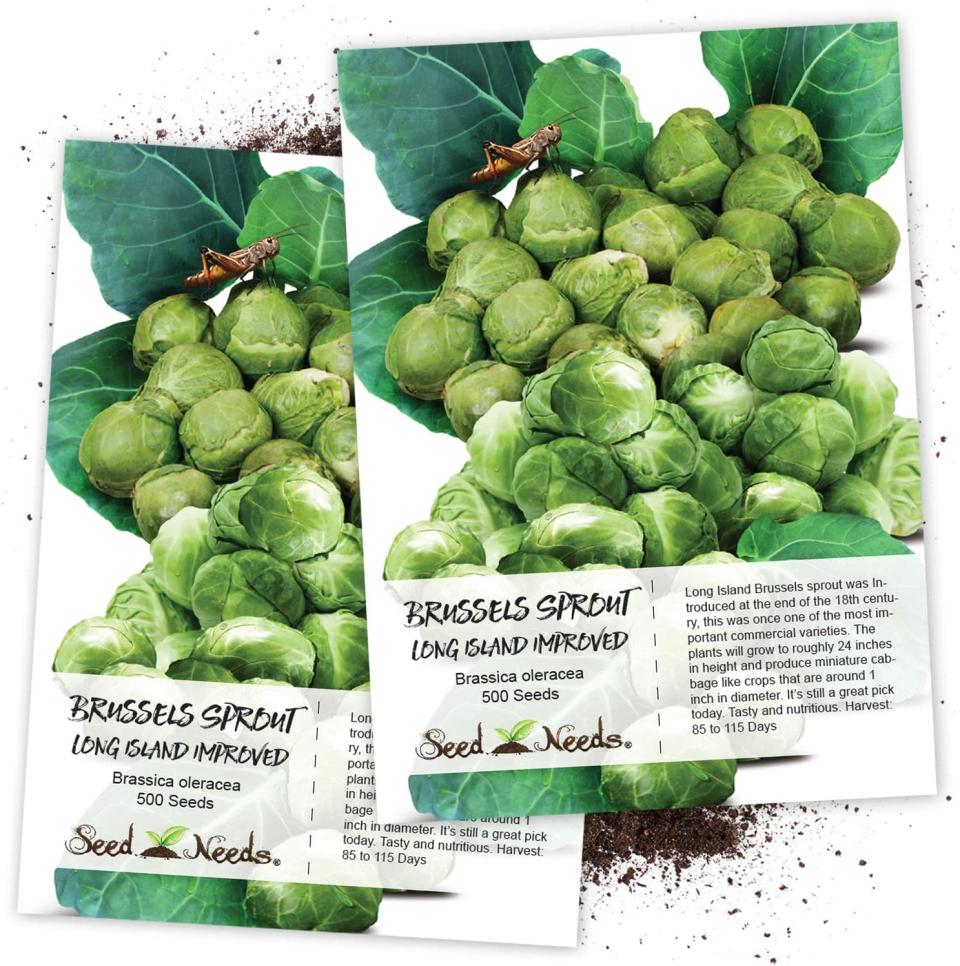 Your very own stalks of Brussels sprouts, coming right up (and up and up and up).
