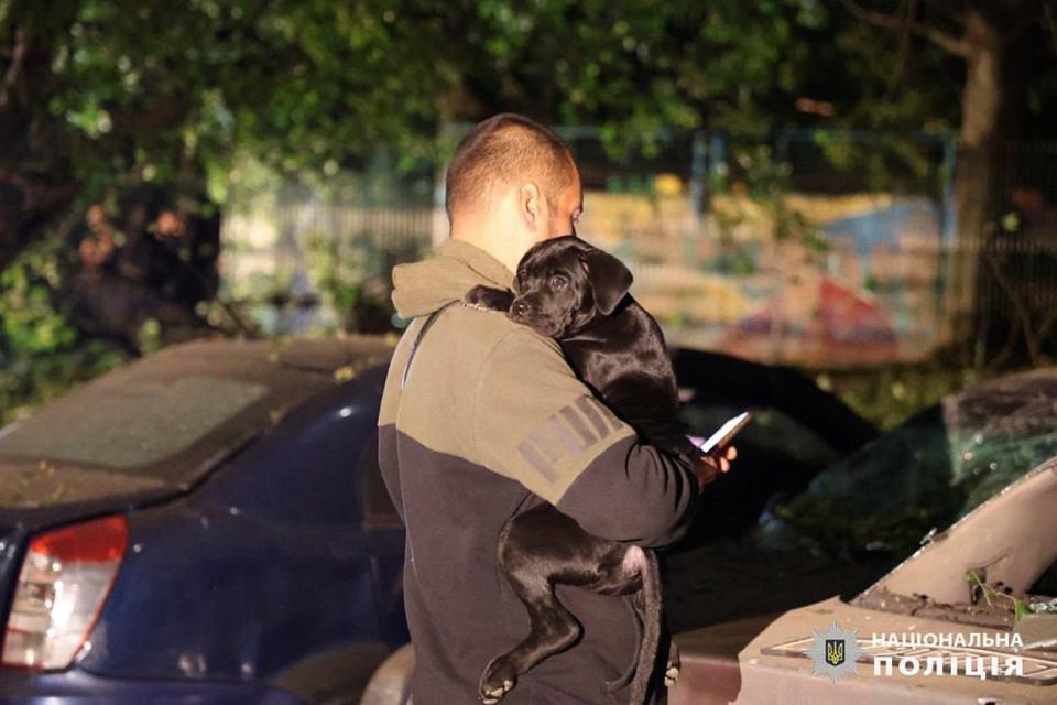 A man holds his puppy close following the strike (AP)