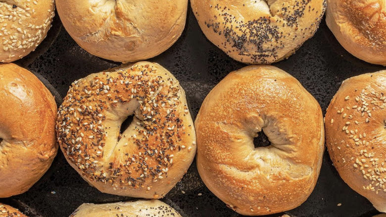 Schneider Deli bagel assortment