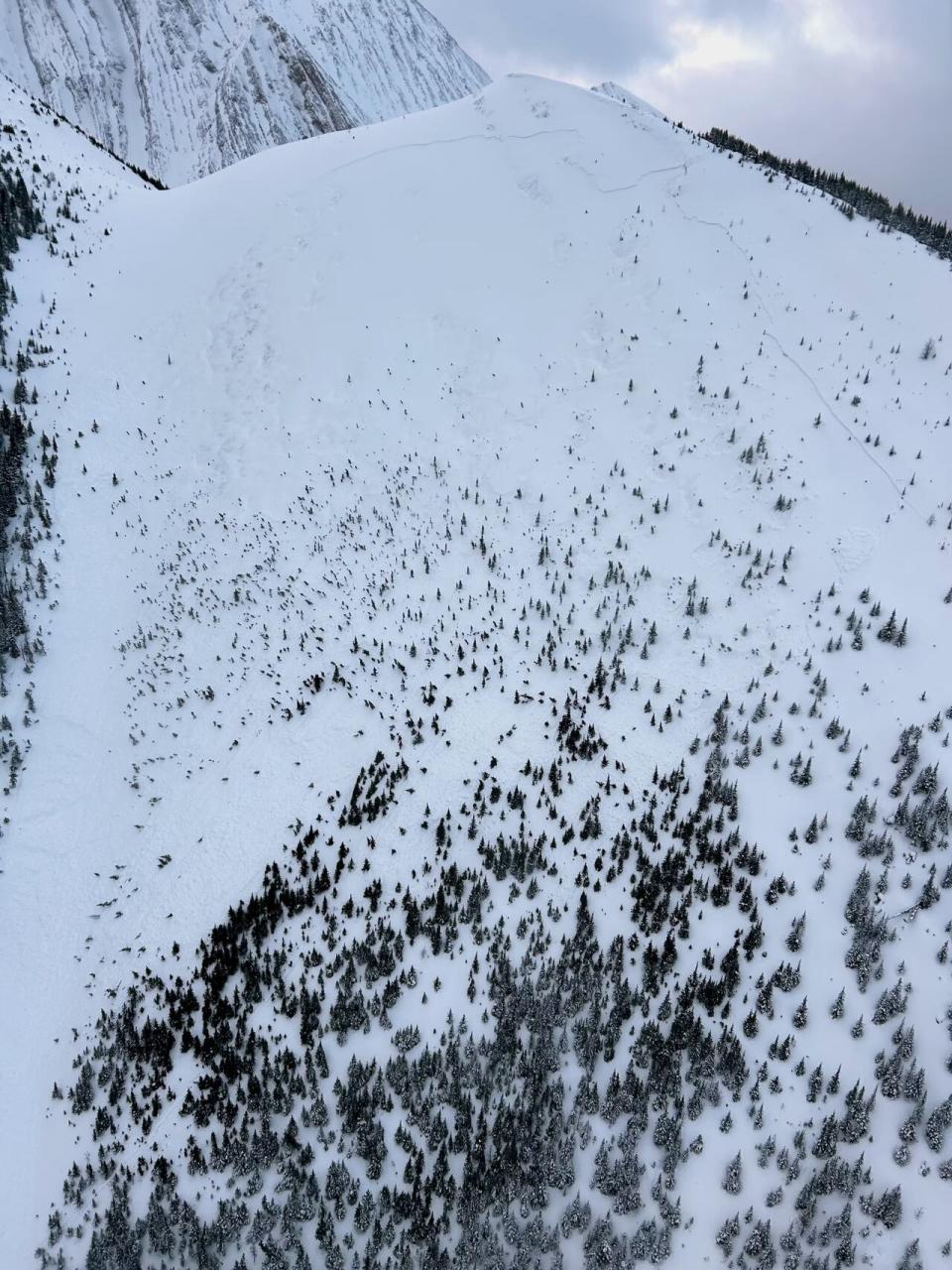 An aerial view of the avalanche on a mountain known as The Tower in Alberta's Kananaskis Country.