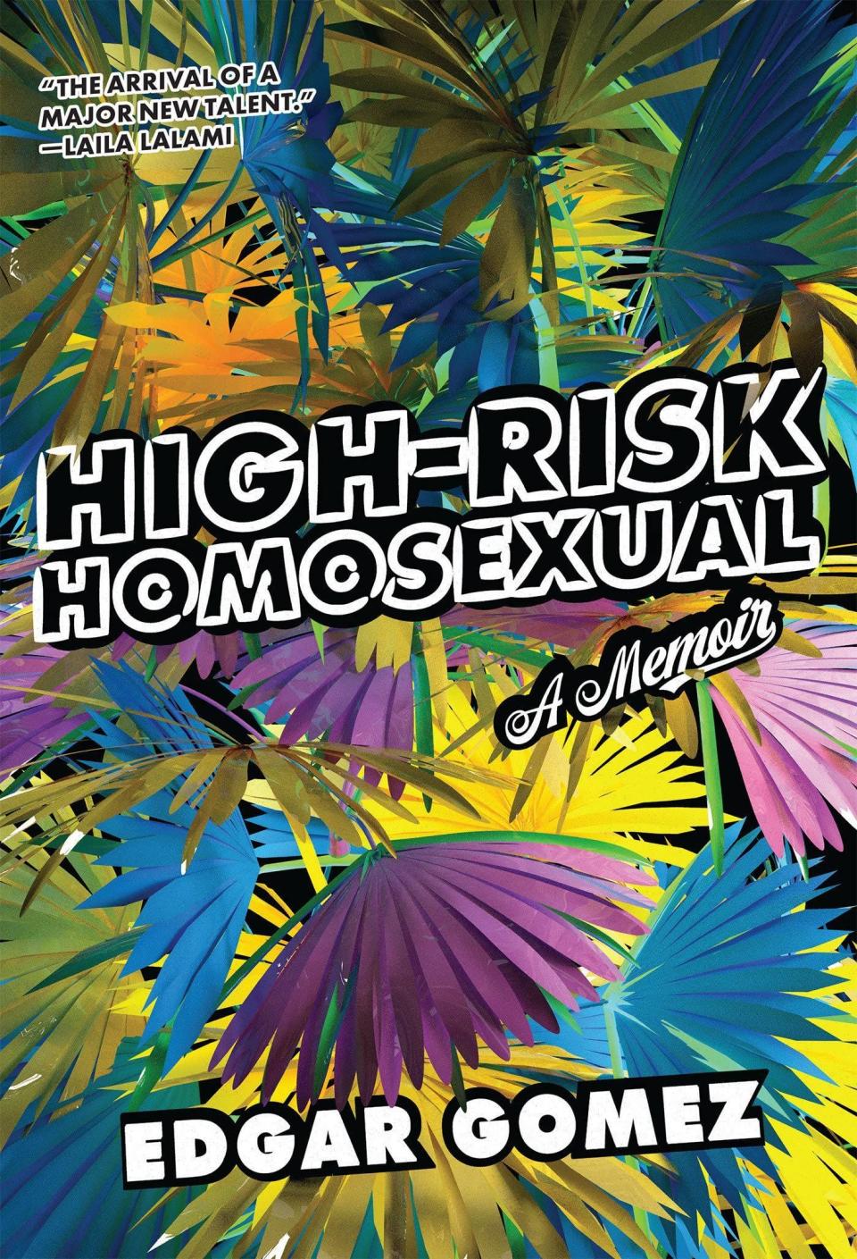 27) <i>High-Risk Homosexual</i> by Edgar Gomez