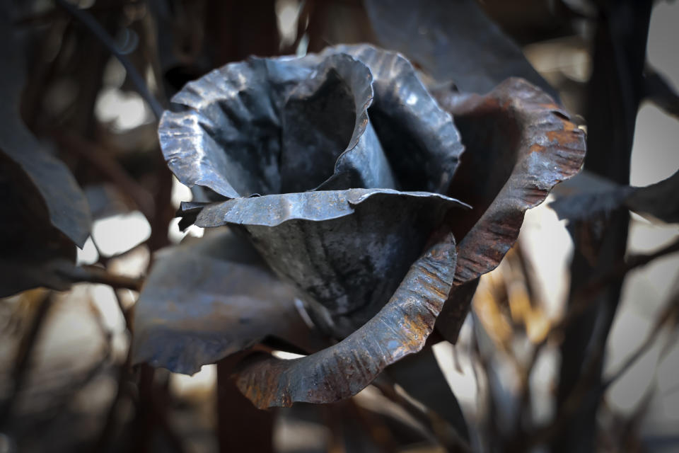 A rose transformed from weapons and ammunition into flowers of war by hands of Viktor Mikhalev is on display in a workshop in his house in Donetsk, Russian-controlled Donetsk region, eastern Ukraine, Saturday, March 4, 2023. Mikhalev, trained as a welder, lives and works in a house whose fence and door are decorated with forged flowers and grapes. (AP Photo/Alexei Alexandrov)