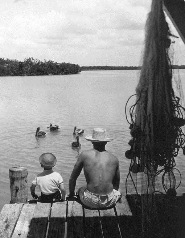 A father and son watch pelicans from a Marco Island dock.