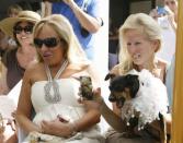 Guests at the dog wedding watch the groom arrive on the green carpet at the dog wedding at Palm Desert Resort Country Club Sunday April 22, 2012. <br> (Photo courtesy Wade Byars/The Desert Sun) <br> <br> (Originally reported in <a href="http://www.mydesert.com/article/20120423/NEWS01/204230322/Wedded-bliss-gone-dogs?odyssey=tab|topnews|text|Frontpage" rel="nofollow noopener" target="_blank" data-ylk="slk:The Desert Sun;elm:context_link;itc:0;sec:content-canvas" class="link ">The Desert Sun</a>)