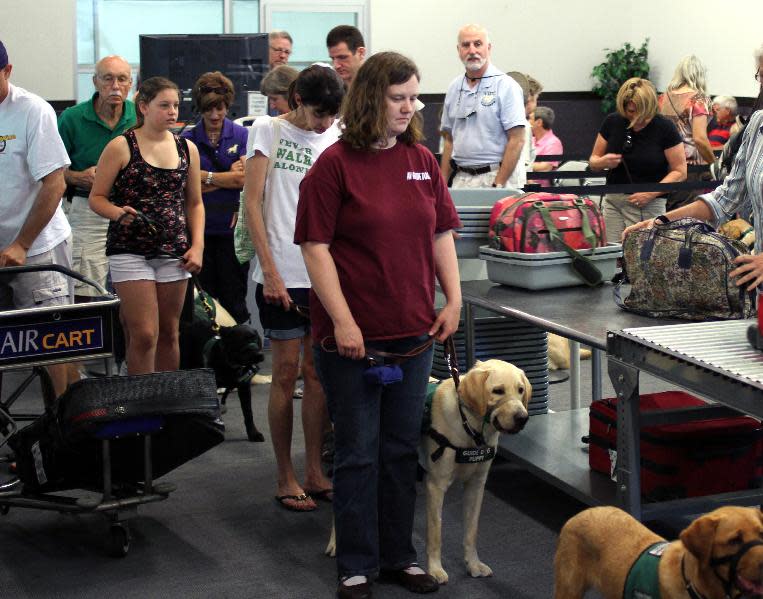 In this July 14, 2012, photo provided by Air Hollywood, members and volunteers from Guide Dogs for the Blind, GDB, take a K9 flight class, as they wait in line at a mock TSA screening at the Air Hollywood K9 flight school in Los Angeles. The idea was the brainchild of Talaat Captan, president and CEO of Air Hollywood, the world's largest aviation-themed film studio, who noticed a dog owner having a rough go getting a pooch through airport security. (AP Photo/Air Hollywood, Matt Souder)