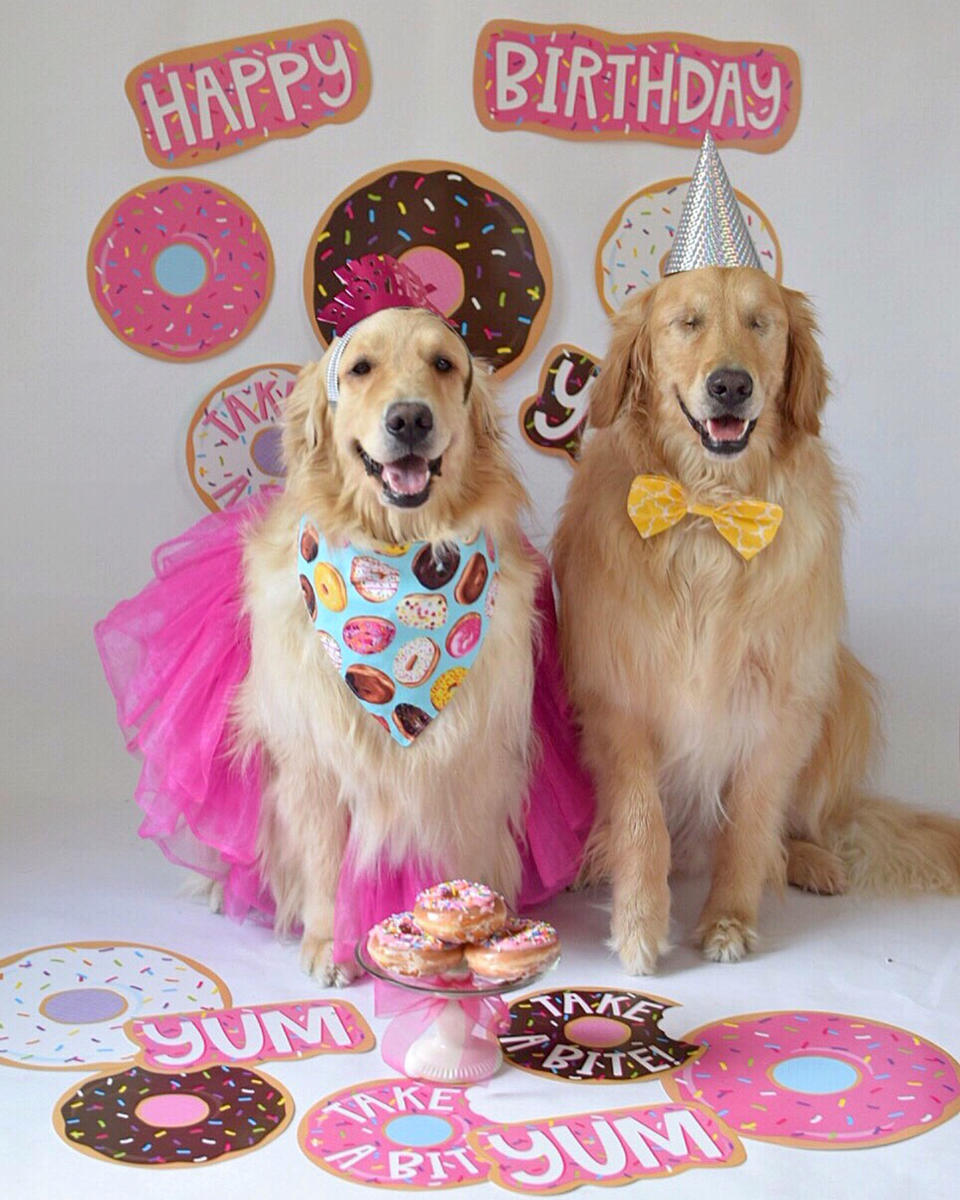 Party animals: Addie and Jake do everything together (Picture: Caters)