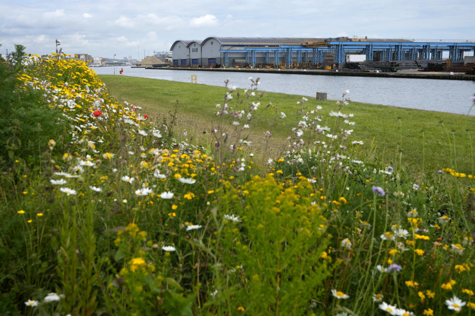 A view of the Barrett Steel factory with solar panels covering the roof in Shoreham Port, East Sussex, England, Wednesday, June 12, 2024. There’s lots of talk of change in Britain’s election campaign, but little talk about climate change. The U.K.’s July 4 vote to choose a new government comes after one of the wettest and warmest winters on record, part of trends scientists attribute to global warming. (AP Photo/Kirsty Wigglesworth)