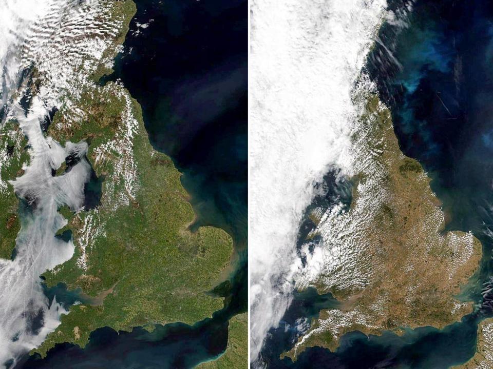 Satellite images show the contrast between a green Britain in May and the effects of the drought in a recent picture (SWNS)