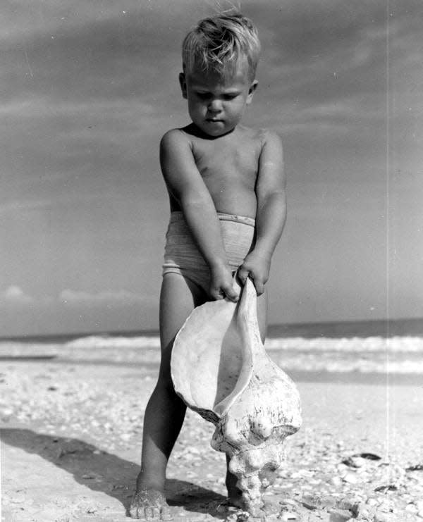 A boy holds a large conch shell on Sanibel Island in 1948.