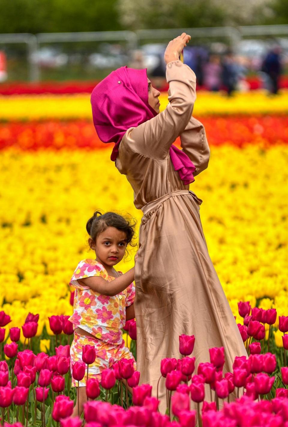Eastern Daily Press: A woman takes a selfie among the tulips 