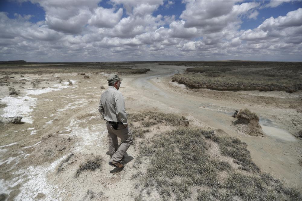 <span>Photograph: Mark Rogers/AP</span>