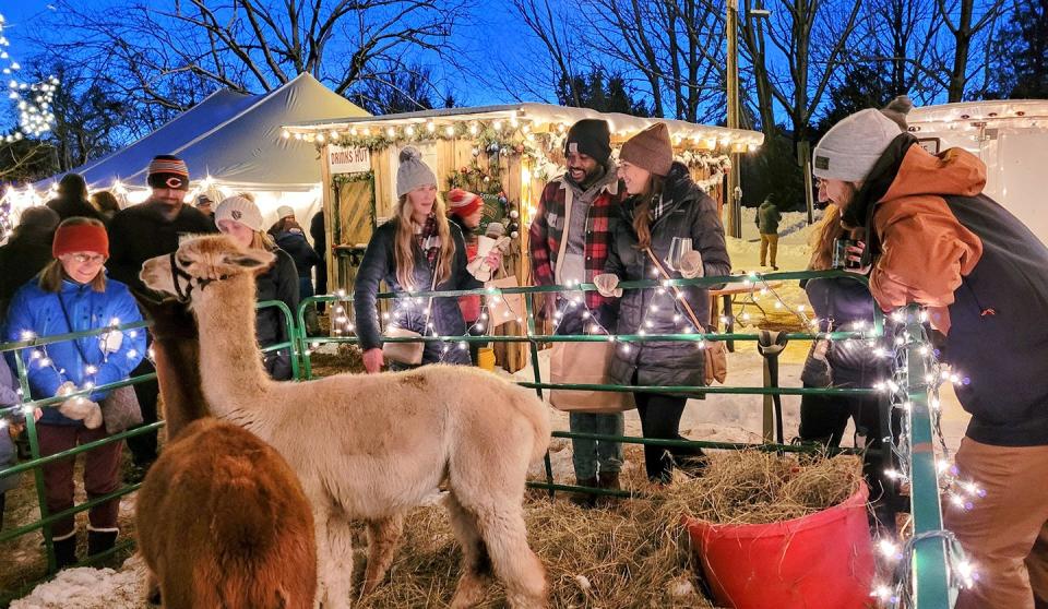 Visitors check out the live, outdoor corral provided by Alpacas to Apparel at the 2022 Door County Christkindlmarkt in Sister Bay. The company, which makes products from alpaca fiber, returns to this year's market taking place three straight weekends in November and December.