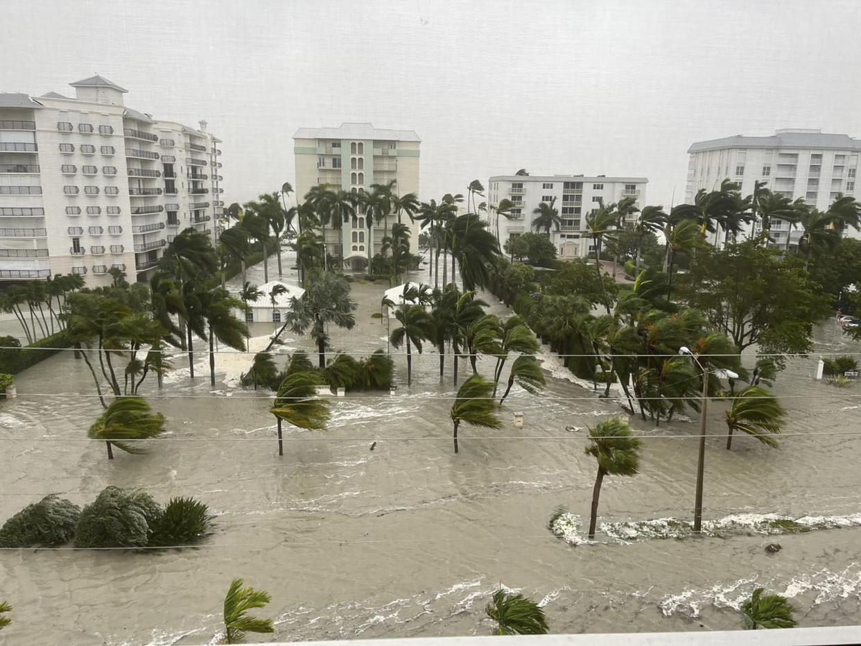 Palm trees are flattened in the wind on flooded streets under feet of water on a plaza surrounded by apartment buildings.