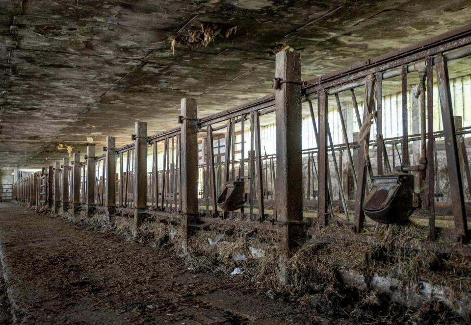 Un establo gigante abandonado en la aldea de Eckardts, en el este de Alemania, el 21 de septiembre de 2020. Treinta años después de la reunificación de Alemania el 3 de octubre de 1990, muchas de las que en su día fueron decrépitas ciudades del este comunista han sido cuidadosamente restauradas y han surgido nuevas fábricas. Pero muchas empresas e instalaciones no sobrevivieron a la abrupta transición al capitalismo y las ineficientes empresas comunistas enfrentaron problemas para competir en una economía de mercado, mientras que la demanda de productos del este se desplomó y sus obsoletas factorías cerraron. (AP Foto/Michael Probst)