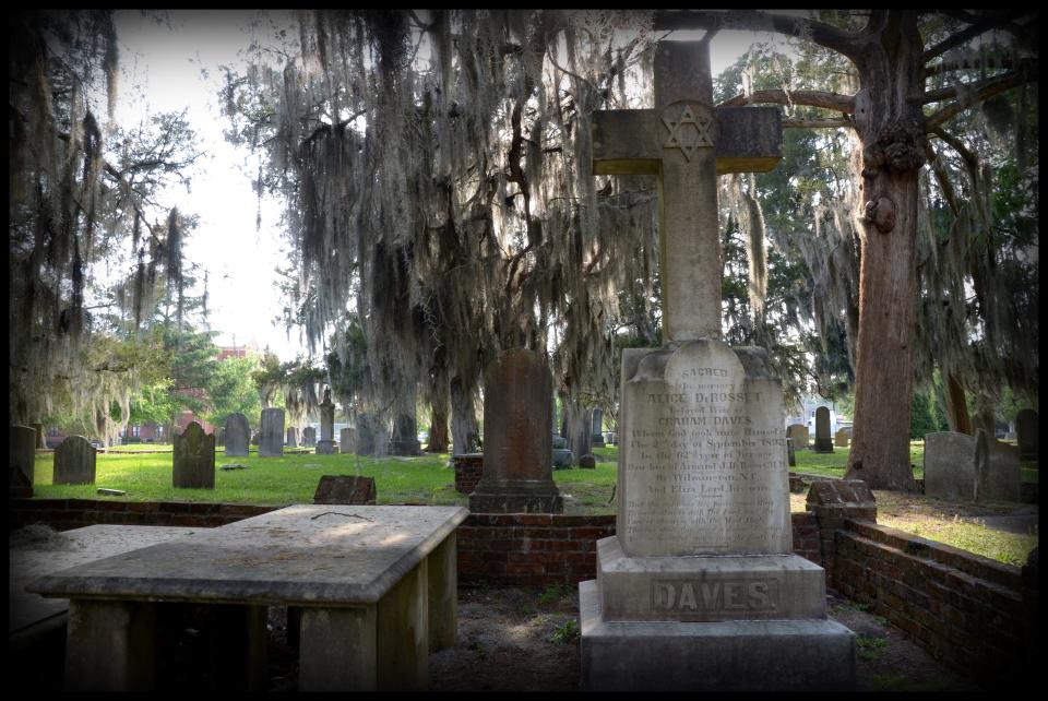 Spanish moss-draped cedar trees gave the cemetery its name and provide shaded comfort for visitors.