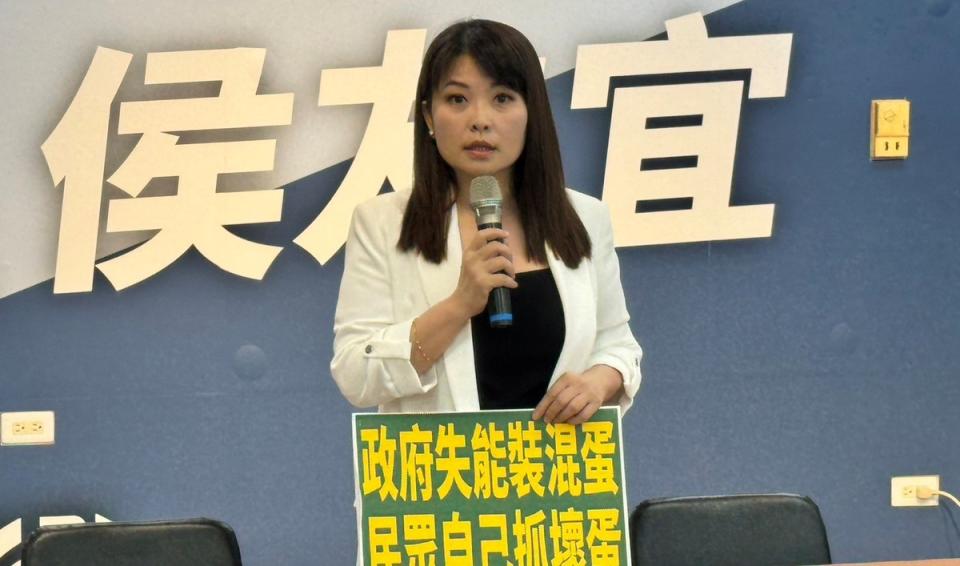 陳美雅痛批行政院長不解決問題還帶頭指責人民。   圖：國民黨高雄市黨部提供