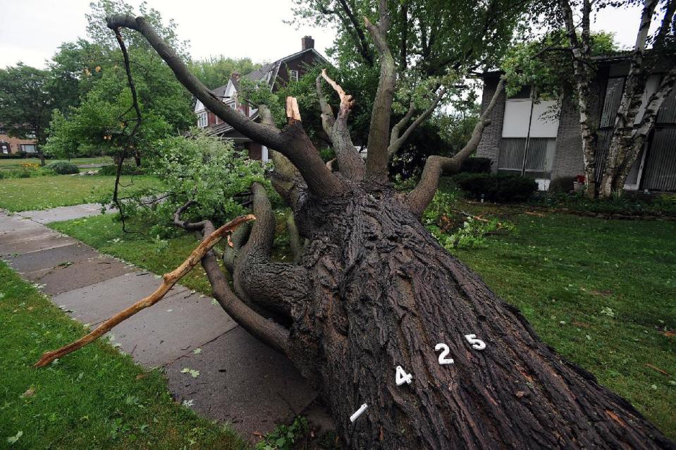 A downed tree blocks the sidewalk in a Detroit neighborhood on Thursday, July 5, 2012 after violent storms ripped through the area Thursday morning. (AP Photo/Detroit News, Brandy Baker) DETROIT FREE PRESS OUT; HUFFINGTON POST OUT. NO MAGS. NO SALES. MANDATORY CREDIT