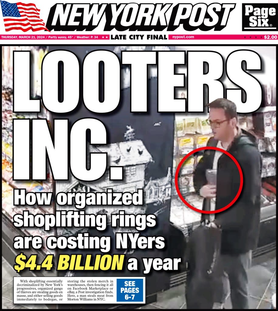 Organized shoplifting groups have cost New Yorkers billions of dollars a year, according to a Post report. rfaraino