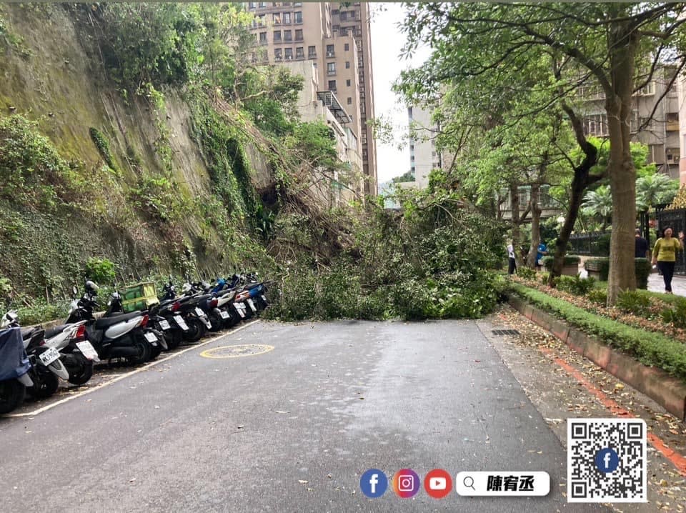 北市下午豪雨狂風，內湖一處山坡路樹坍塌，一名男性受傷。翻攝議員陳宥丞臉書