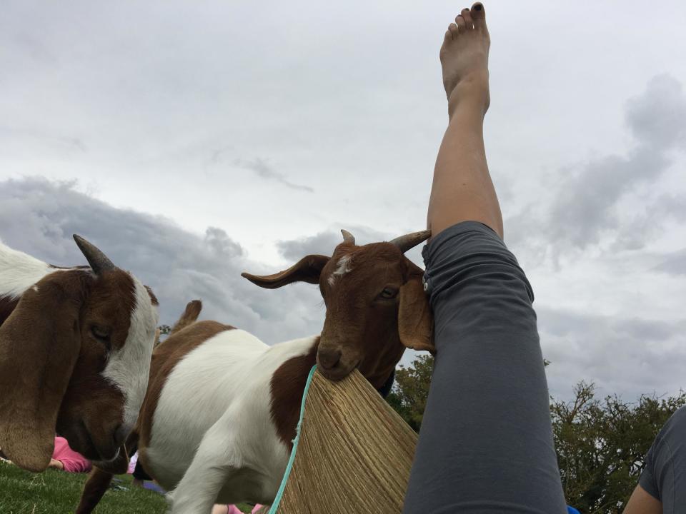 View from the ground up (Edwina Langley)