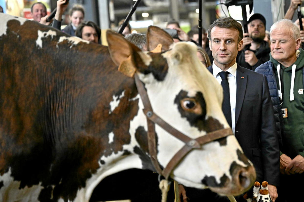 Emmanuel Macron, avec la mascotte du salon, Oreillette, lors de la visite inaugurale du Salon de l'agriculture, le 24 février dernier.  - Credit:Eric TSCHAEN-pool/SIPA / SIPA / Eric TSCHAEN-pool/SIPA