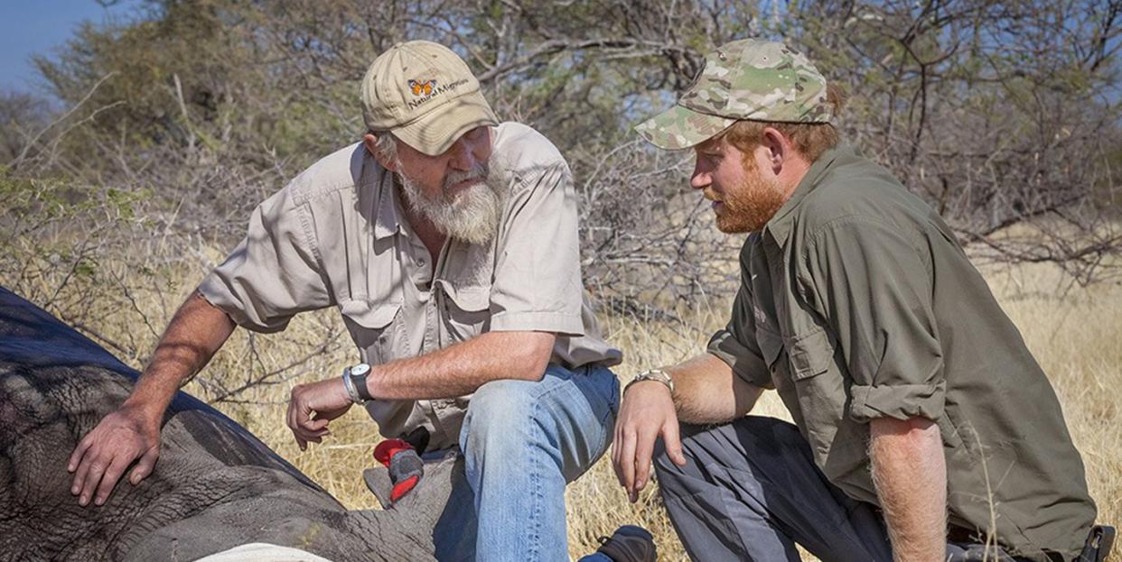 Photo credit: Rhino Conservation Botswana/ Kensington Palace - Getty Images