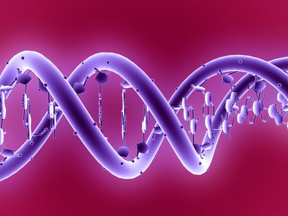 The famous double helix of DNA – being able to edit this could transform medicine, but the process appears to be more difficult than first thought: Science Photo Library