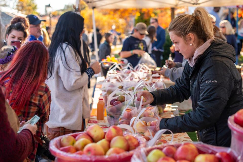 Peddler's Village, in Lahaska, hosts its annual Apple Festival each fall. Enjoy live entertainment, food specials, and family activities all weekend long.