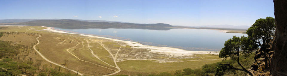 Lago Nakuru, Kenia: el agua azul, praderas y laderas rocosas son los ingredientes de una buena foto, pero tampoco es lo que diferencia a este lago, ubicado en el centro de Kenia. La verdadera atracción aquí es la masa de color rosa en los bordes de Nakuru. Los flamingos son una de las pocas especies que pueden soportar las condiciones hostiles del lago. (Texto: El Universal. Foto: Wikimedia Commons/Brian-Rutere)