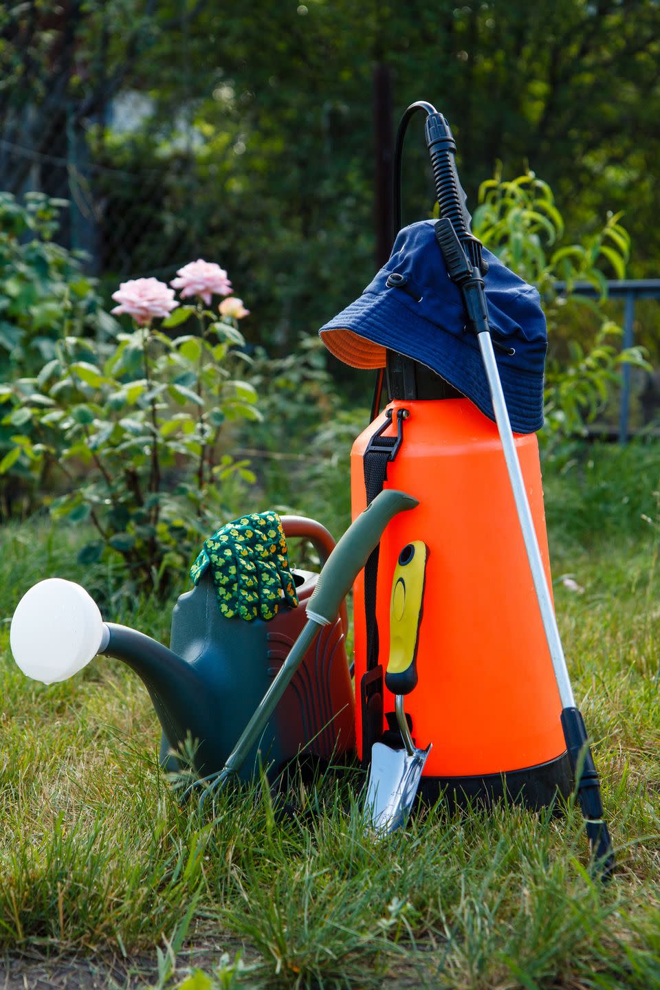 how to rewild your garden pesticide use