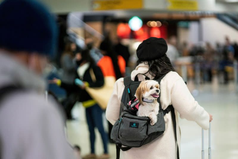 FILE PHOTO: Passengers travelling at Newark Liberty International Airport in Newark