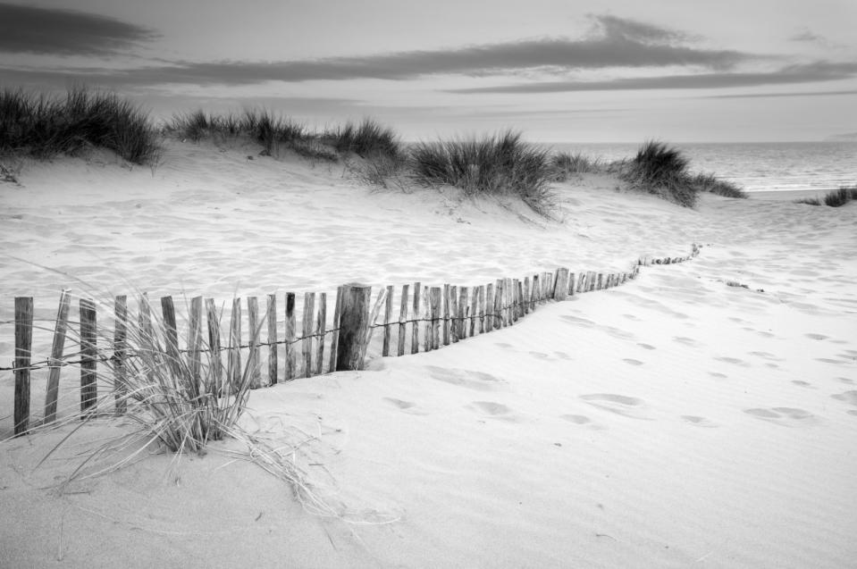 —u/ardenrangerIn December of 1948, an unidentified man's body was found on Somerton Park Beach in Australia. Though a natural death seemed unlikely, the coroner was unable to properly assert what had killed him. Strangely, the man had no items on his person that were able to provide his identity. Upon further examination, a piece of paper with the Persian phrase 