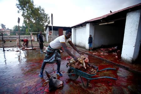 Abbas Yusuf, 23, known as Hyena Man, collects the leftover meat at the slaughterhouse within the walled city of Harar, Ethiopia, February 25, 2017. REUTERS/Tiksa Negeri