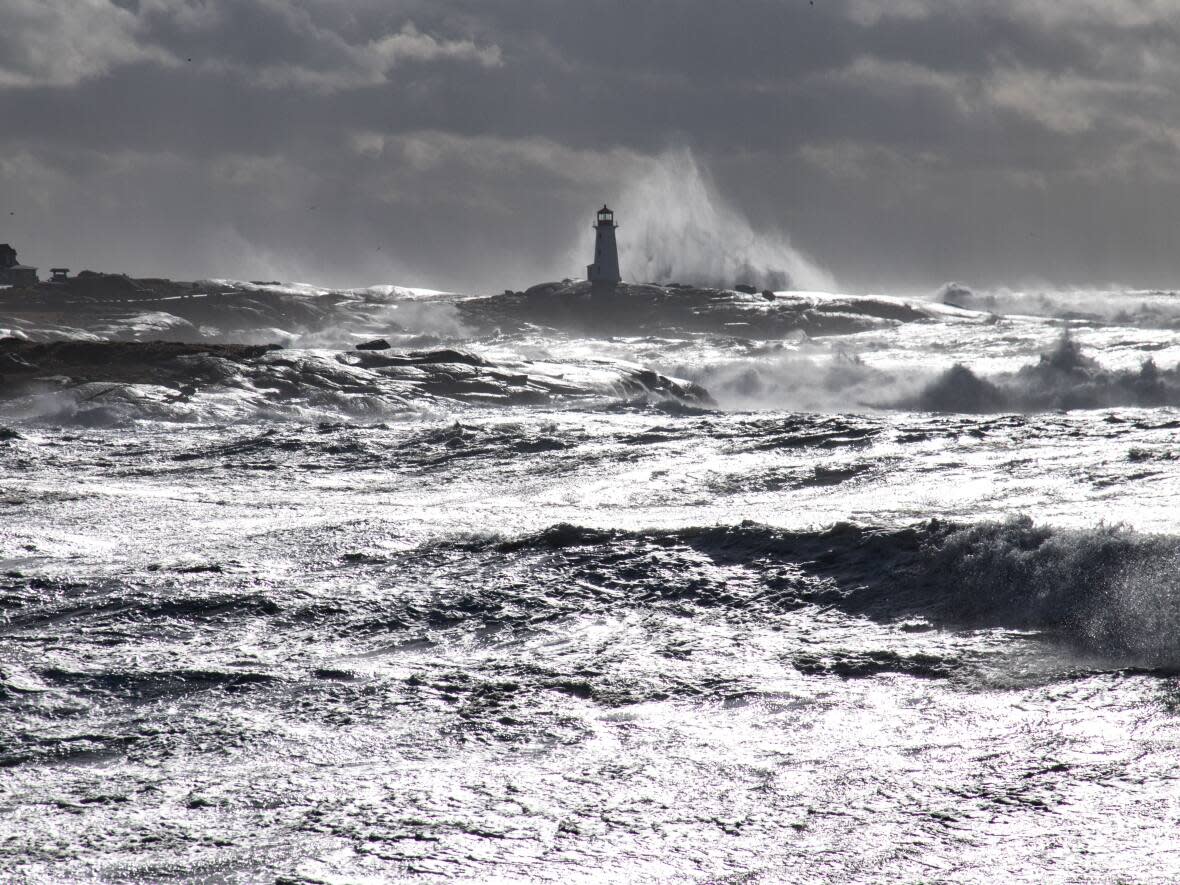 Nova Scotia's Coastal Protection Act is intended to limit development close to vulnerable shorelines and protect natural aspects of the coastline. (Robert Short/CBC - image credit)