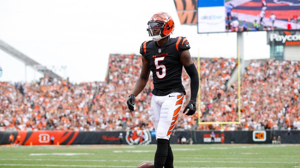 Bengals WR Tee Higgins Suffers Rib Fracture