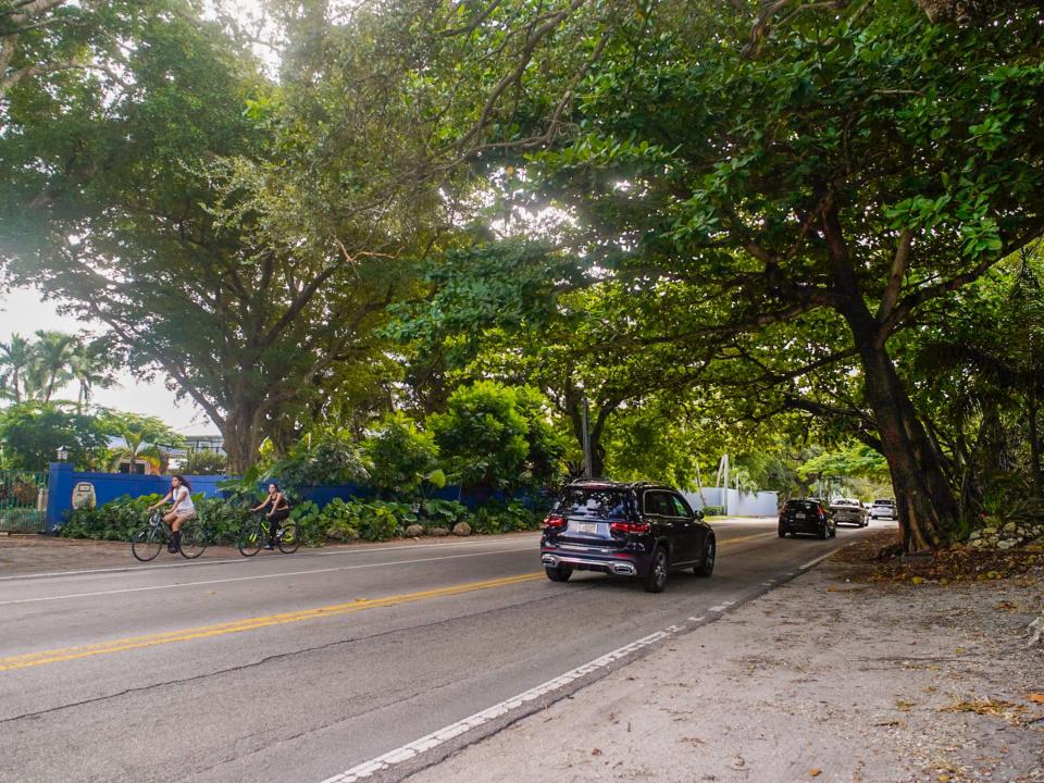People bike on a shady street in Coconut Grove