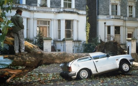 A car crushed by a plane tree in the storm - Credit: Hulton Archive